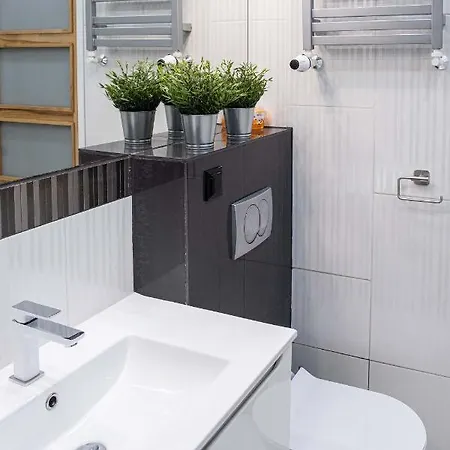 アパート Old Town Wawel Ii Premium クラクフ